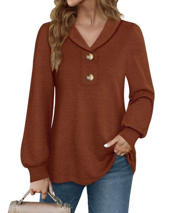 Messic Business Casual Tops for Women Tunics for Women Fashion 2024 Collared Shirts for Women Ladies Office Wear Tunic Tops to Wear with Leggings Fall Long Sleeve Tunics 2024 Brown Large